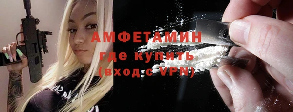 дживик Бородино