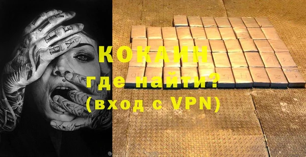 дживик Бородино