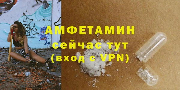 дживик Бородино