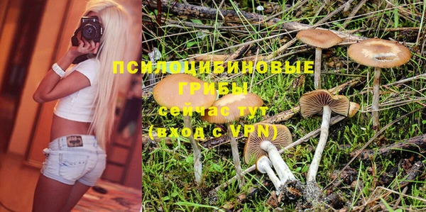 прущие крисы Бронницы