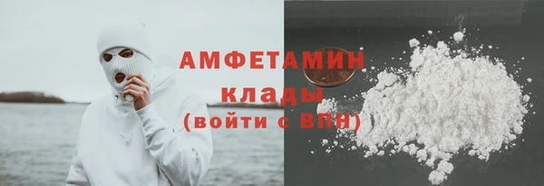 дживик Бородино