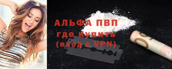 дживик Бородино