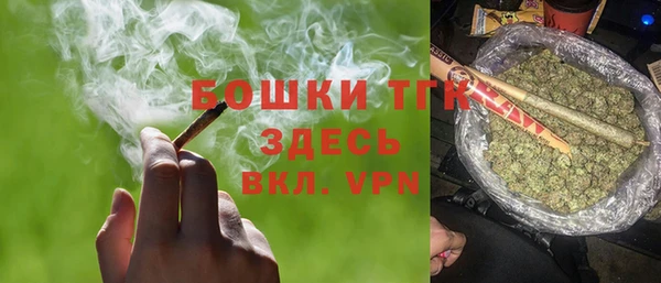 дживик Бородино