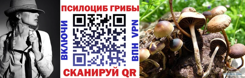 Галлюциногенные грибы Psilocybe купить цена Мончегорск
